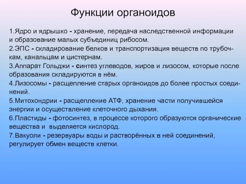 В каких органеллах человека хранится наследственная информация