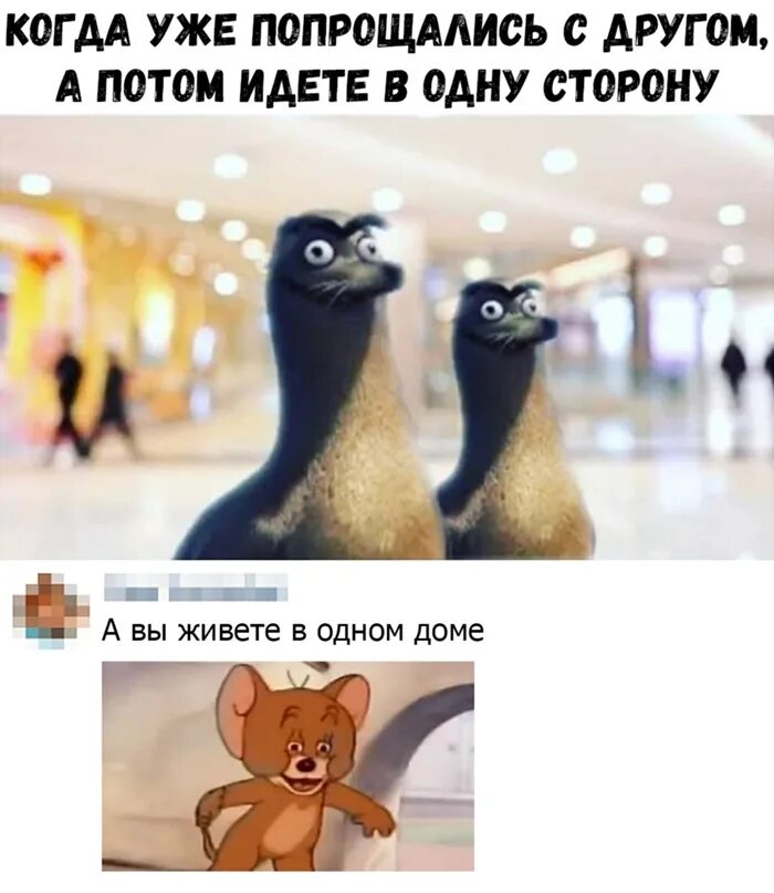 Вы прощаетесь с ним