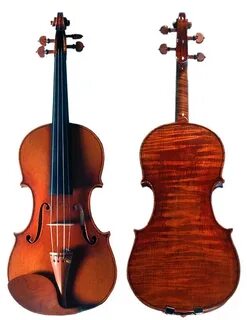 Violin made