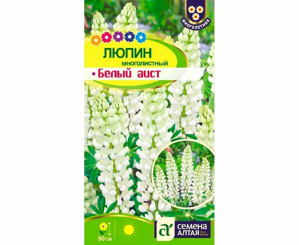 Люпин белый Аист семена Алтая. Люпин многолистный белый. Люпин многолистный семена. Люпин многолистный Аист белый. Сайт алтайские семена