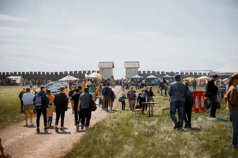 Население ельца 2024