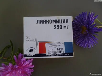 Капсула линкомицин для чего назначают