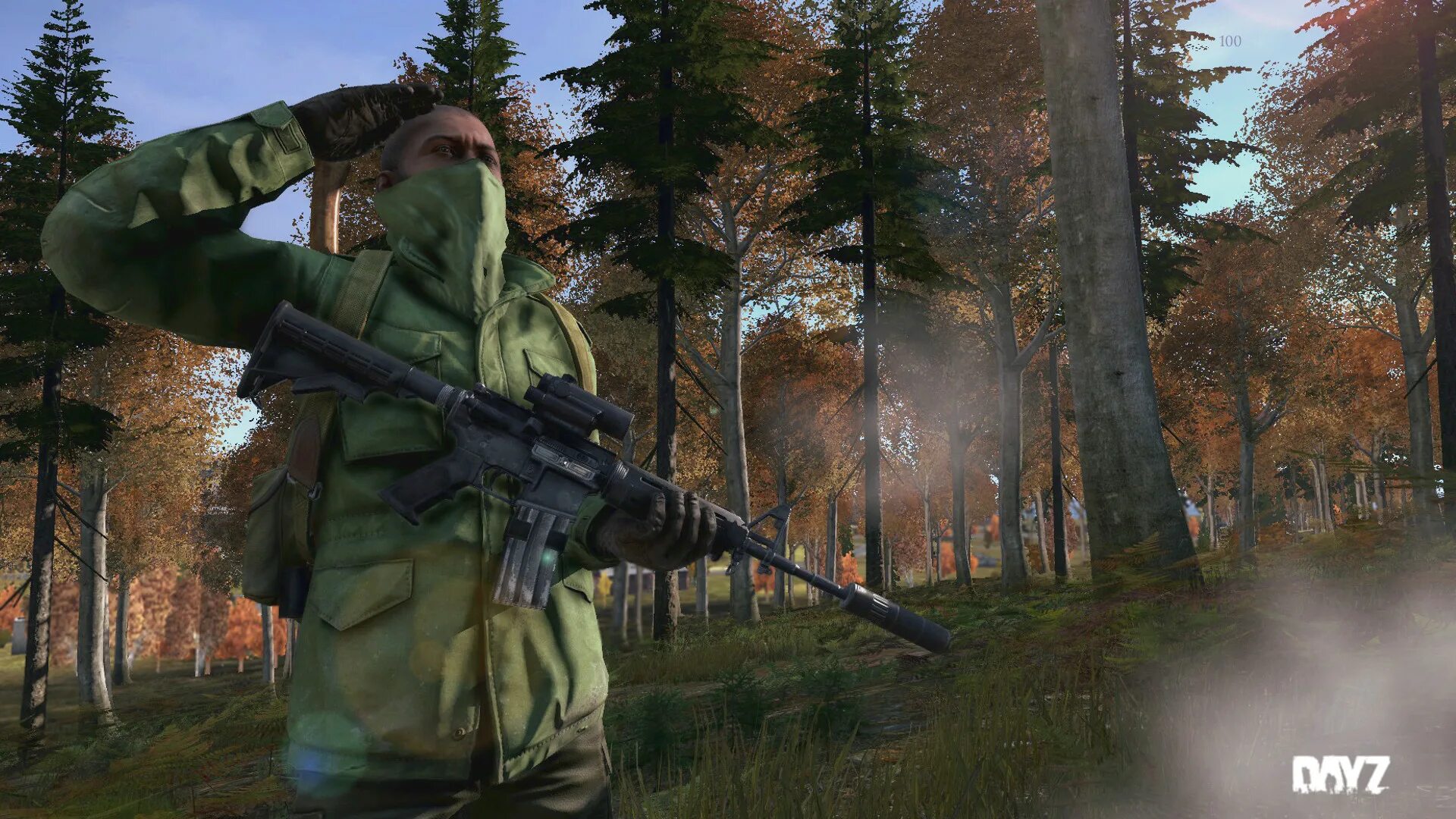 DAYZ 1.06. Военный Дейзи игра. DAYZ Standalone. Дейз арт. Dayz scripts