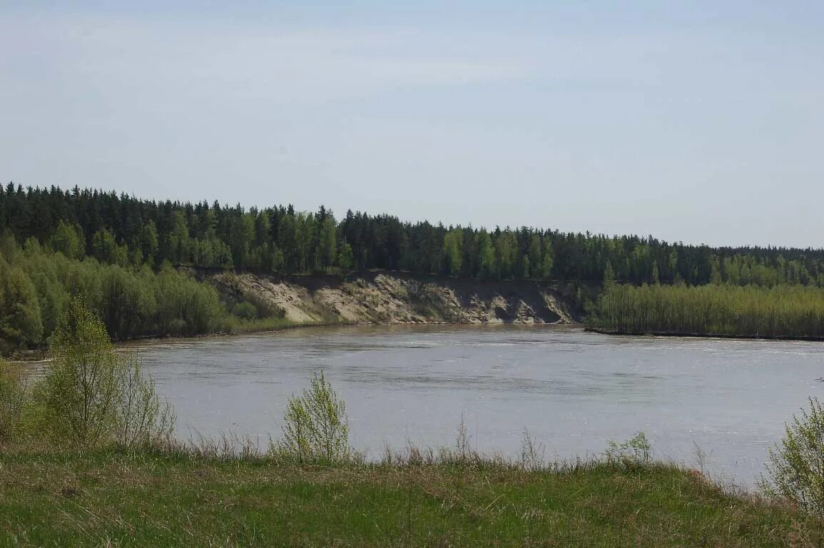 Погода алтайский край платова. Усть Чумышский заказник Алтайского края. Усть Чумыш Тальменский район. Село Усть Чумыш Алтайский край Тальменский район. Границы Усть Чумышского заказника.