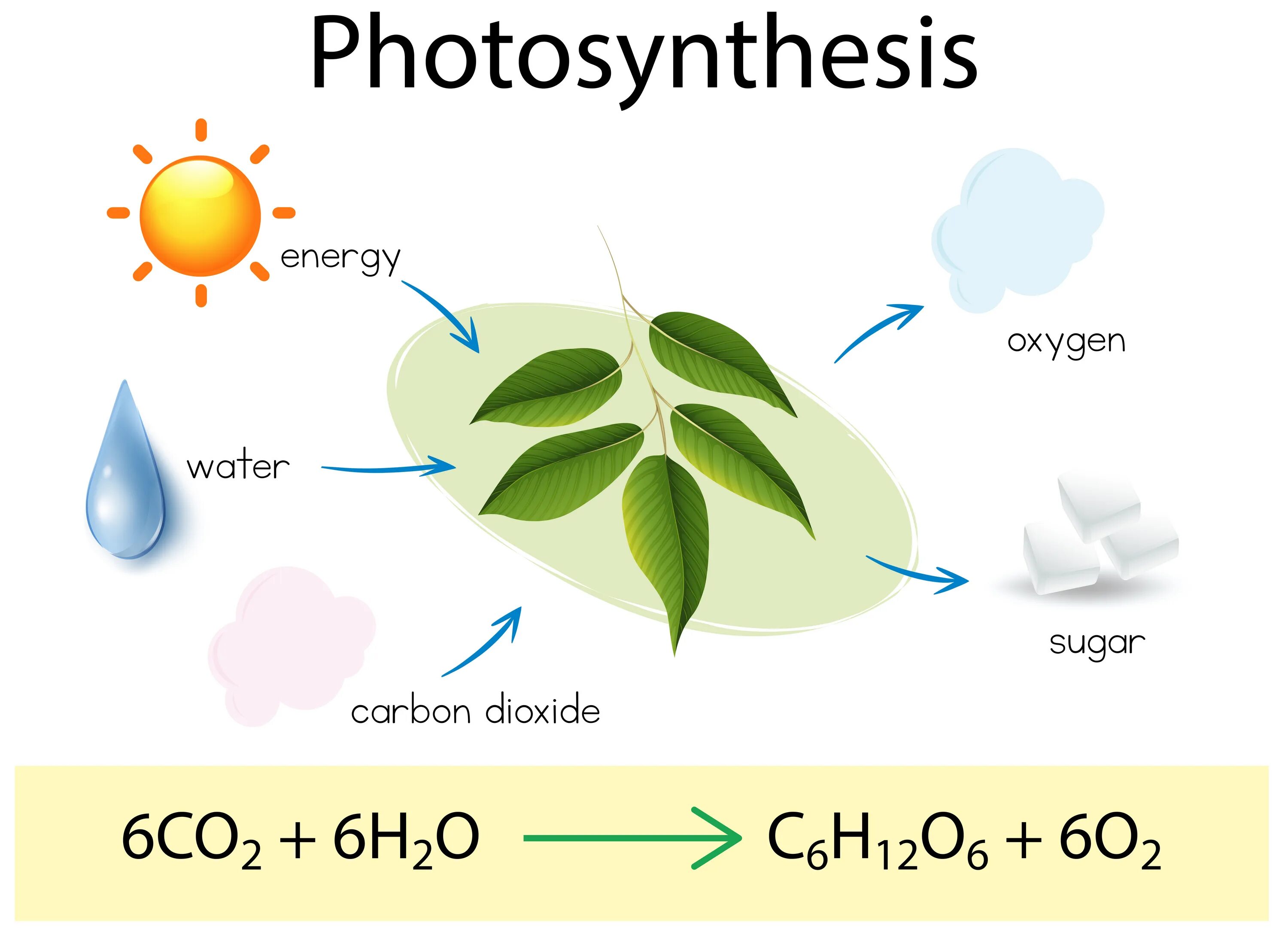 Co2 h2o фотосинтез. Фотосинтез. Фотосинтез рисунок. Фотосинтез схема. Схема процесса фотосинтеза.