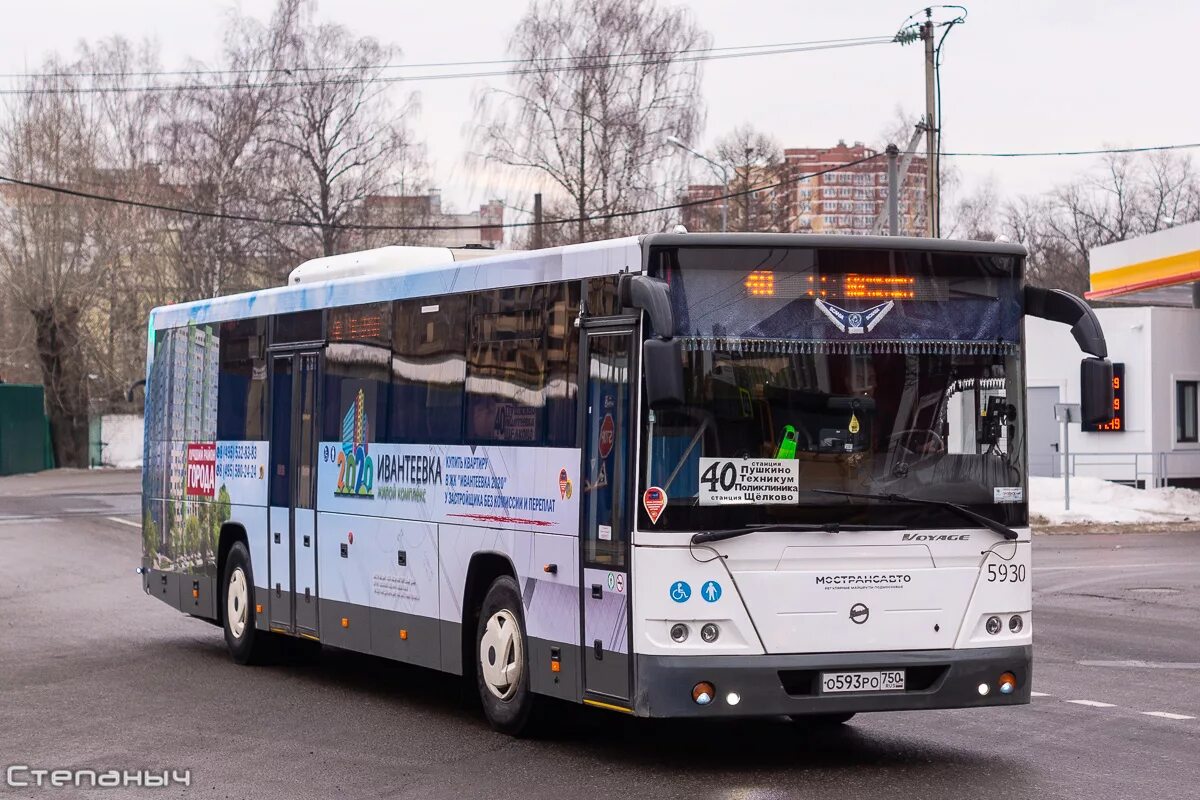 Автобус чижово москва. Лиаз 5250 салон. Голаз 5256 тюмень. Остекление лиаз 5250. Автобус чижово москва.