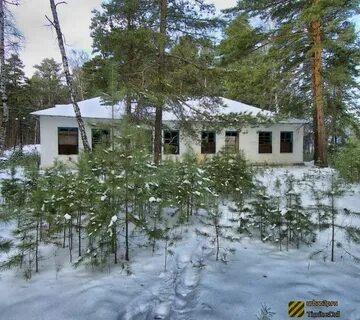 Сосновый бор пионерский