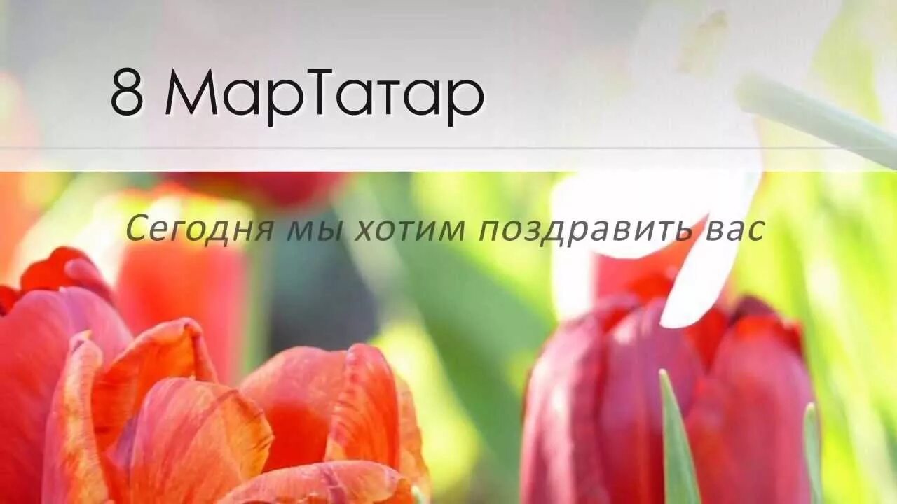 Открытки с 8 мартом на татарском языке. Сигезенче март белэн котлаулар