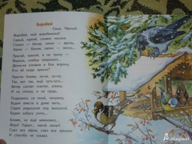 Стихотворение черного воробей. Стих воробей саша чёрный. воробей стихотворение сага черный.