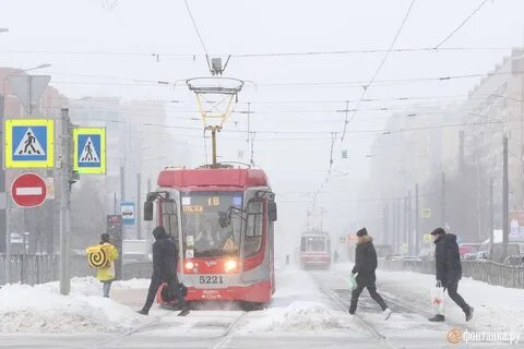 Морозы спб