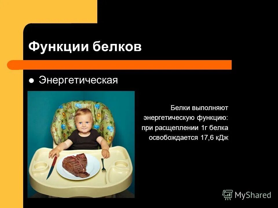 Энергетическая функция белков в организме человека. Конечные продукты расщепления белка. Энергетическая функция белков в организме человека. Энергетическая функция примеры. Белки выполняющие энергетическую функцию.