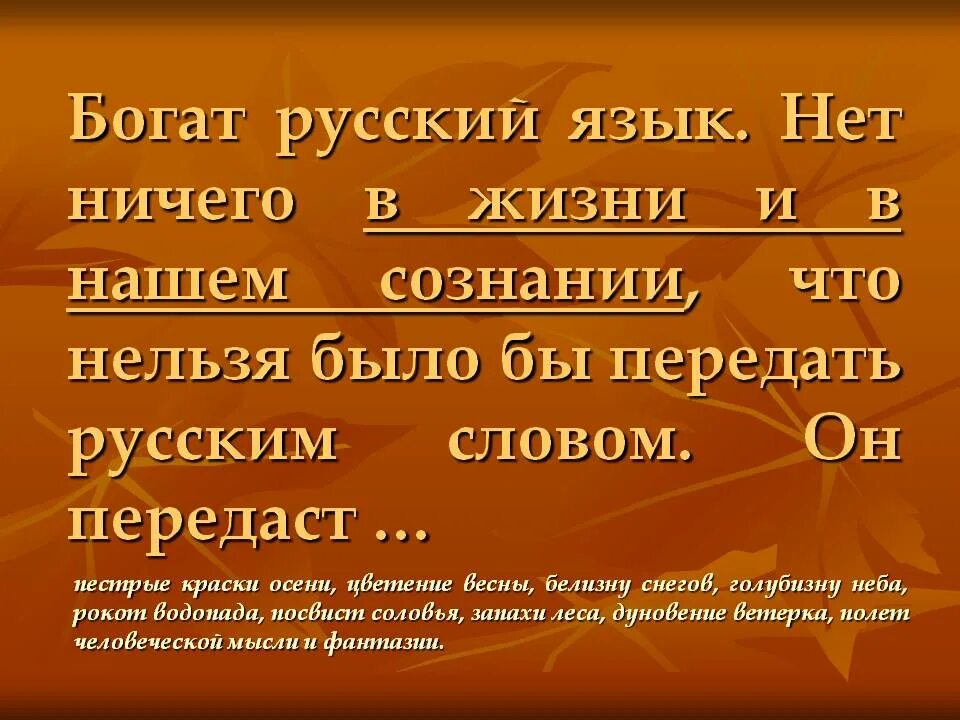 Русский язык это богатство которое представляет. Богатство русского языка. Богатый русский язык. Богатство русской лексики. Богатство русского языка 5 класс.