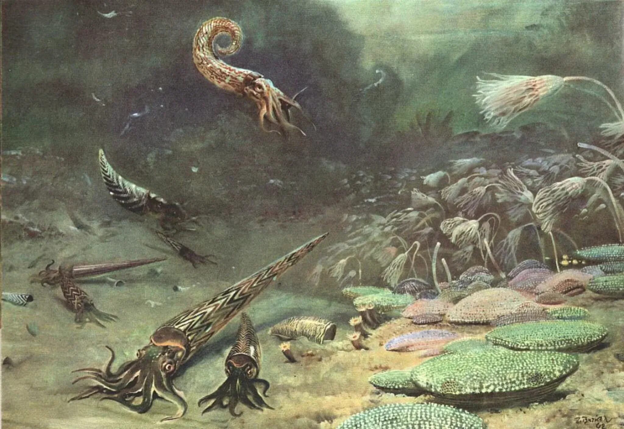 Первые живые существа появились на нашей планете. Палеозойская Эра Ордовик. Буриан Зденек палеозой. Ордовикский и силурийский периоды. Палеозойская Эра ордовикский период.