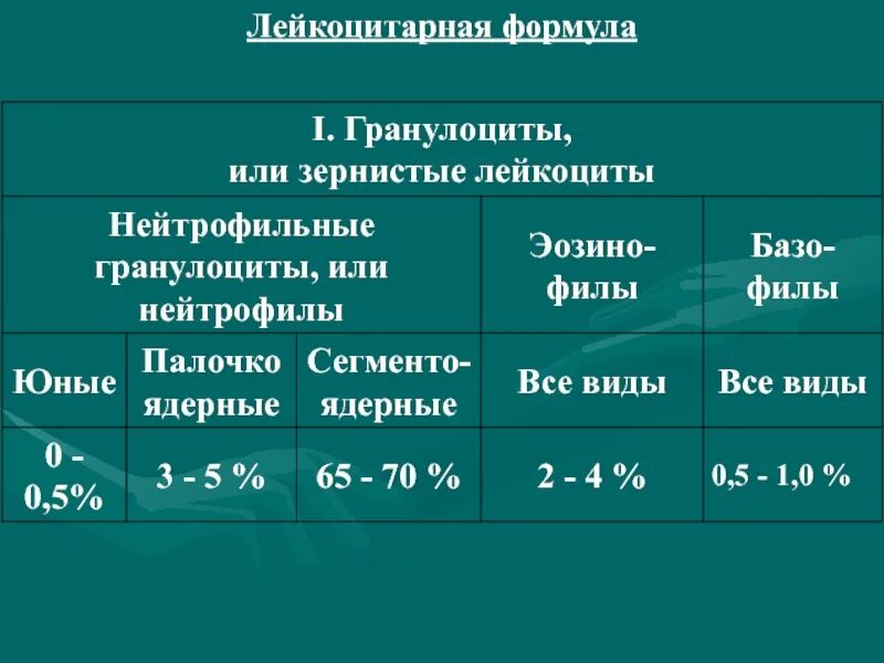 Сколько лейкоцитов в крови норма. Показатели крови норма лейкоцитарная формула. Лейкоцитарная формула гранулоциты. Лейкоцитарная формула норма. Показатели лейкоцитарной формулы крови.