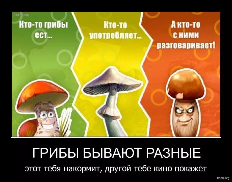 Девочка грибочек. Кроссворд на тему грибы. Веселый гриб. Мальчик с грибами. Грибы прикол.