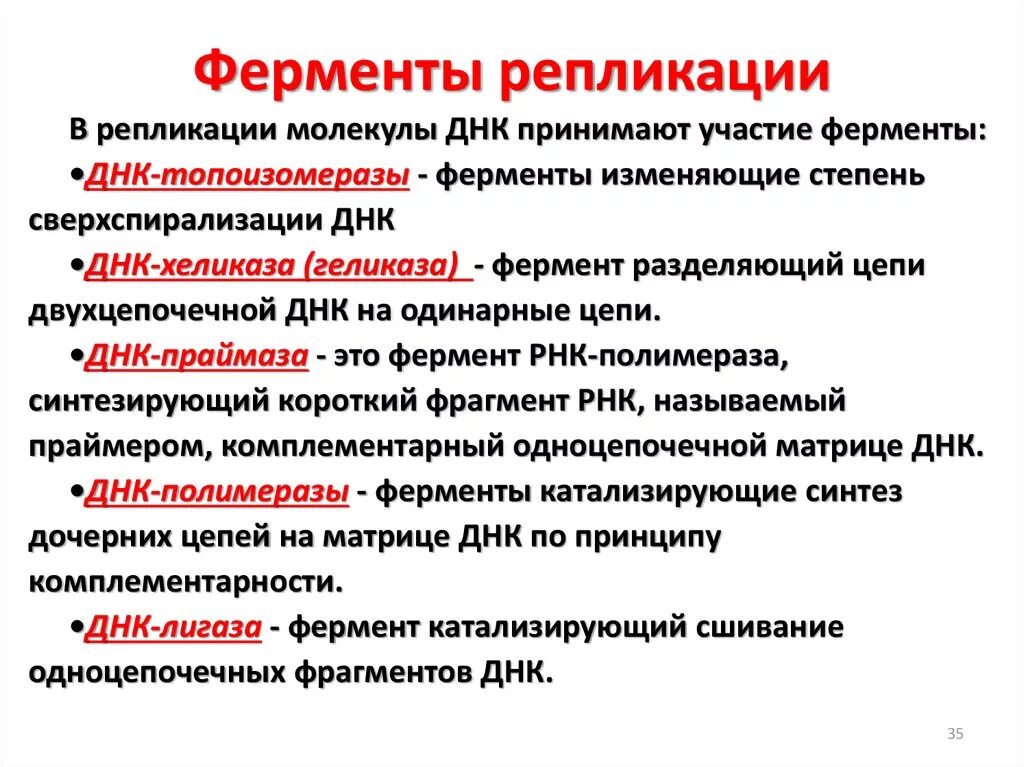 Укажите функцию ферментов. Ферменты репликации молекулы ДНК таблица. Назовите основные ферменты участвующие в репликации ДНК. Основные ферменты участвующие в репликации ДНК И их функции. 1. Назовите основные ферменты, участвующие в репликации ДНК..