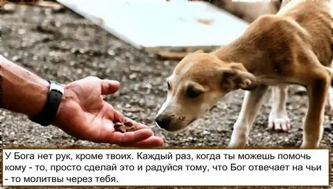 Этой проблемой не просто помочь