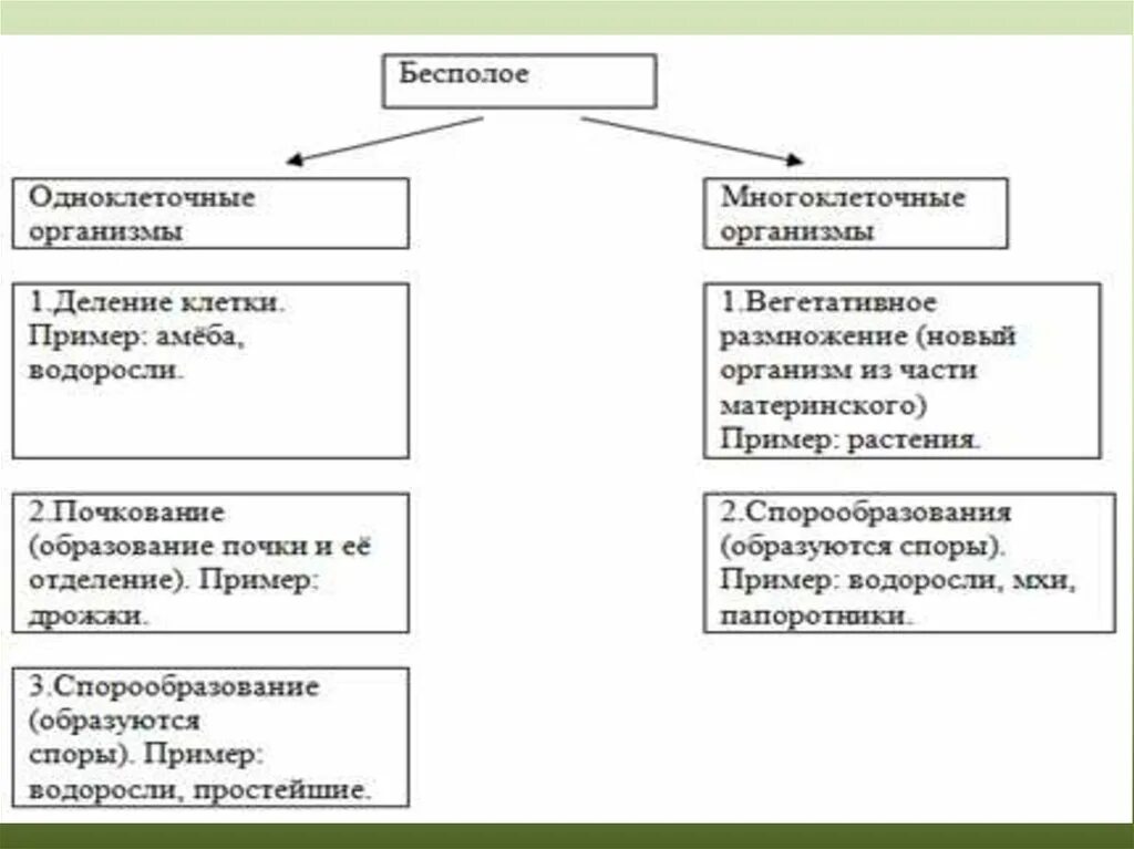 Сравнение одноклеточных и многоклеточных организмов таблица. Сравнительная таблица одноклеточных и многоклеточных организмов. Одноклеточные и многоклеточные организмы таблица. Отличия одноклеточных и многоклеточных организмов.