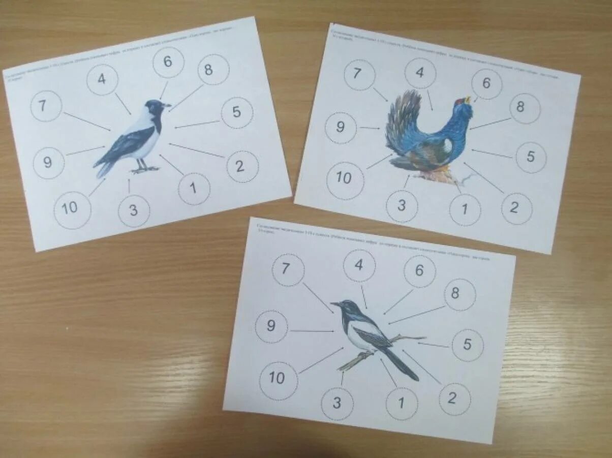 Птицы подготовительная группа. Зимующие птицы занятие для малышей. Перелетные птицы для дошкольников подготовительной группы. Математика для детей про перелетных птиц.