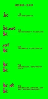 Image posted by jinxi001. (绿 奴 考 核 标 准 2018-第