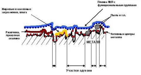 Адгезия лкм