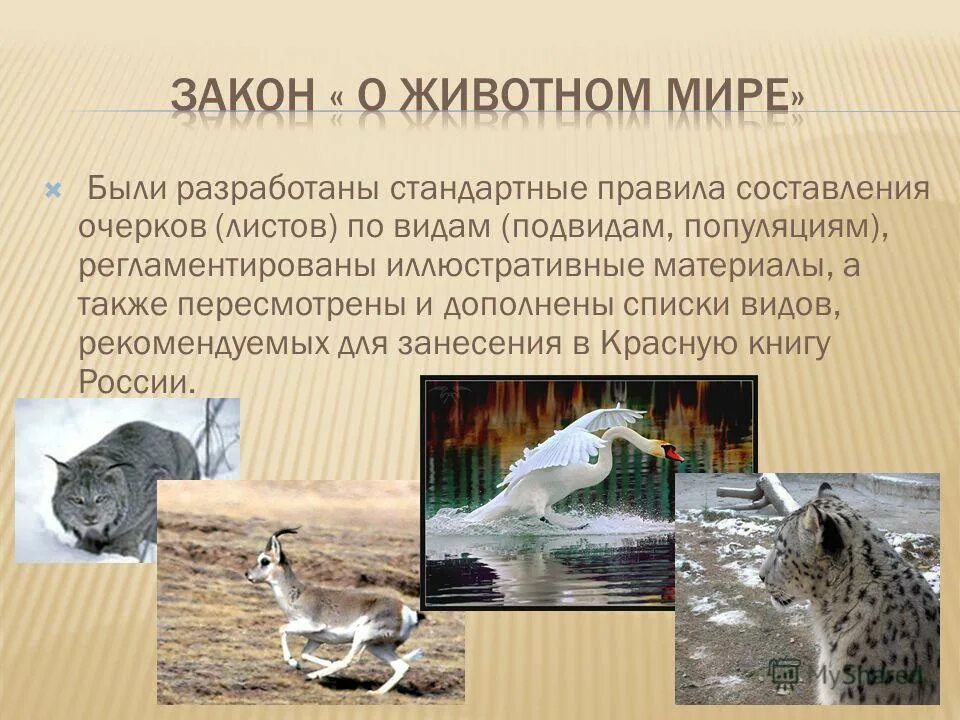 Ст 245 жестокое обращение с животными. Федеральный закон об ответственном обращении с животным. Статья 245 уголовного кодекса. Ответственное обращение с животными. Ответственное обращение с животными.