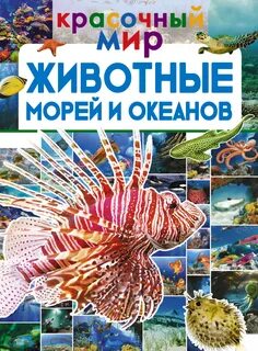 Звери морей и океанов 1 класс