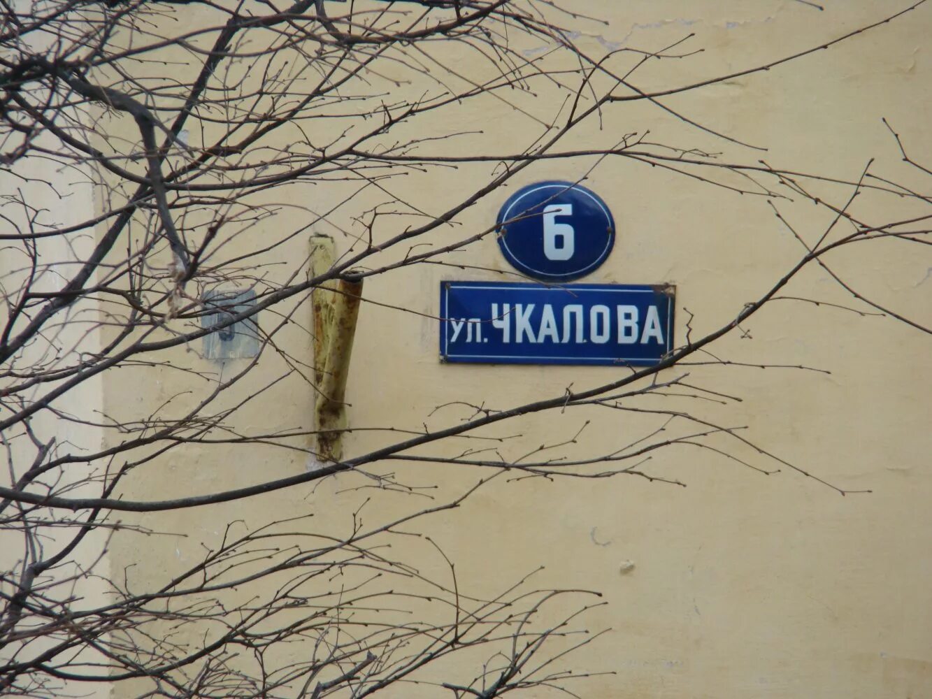 Чкалова д 5