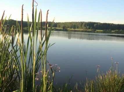 Стремилово чеховский