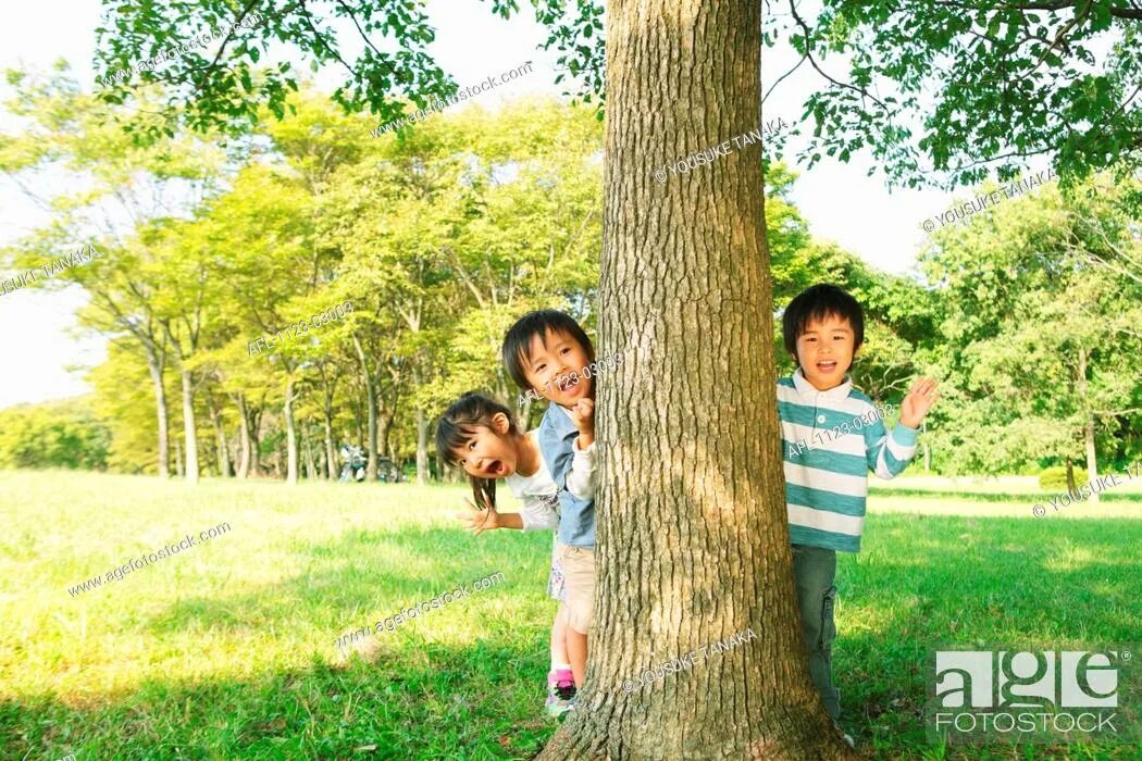 Tree sisters. Tree sisters