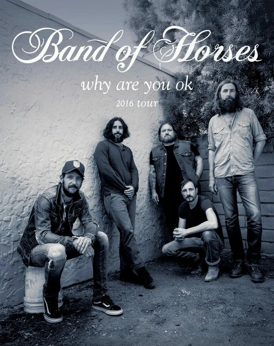 Subcarpati группа. Группа the band. Группа horse. Band of horses. Band of horses бен бридвелл дата рождения.