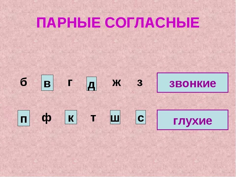 Парные звонкие 1 класс