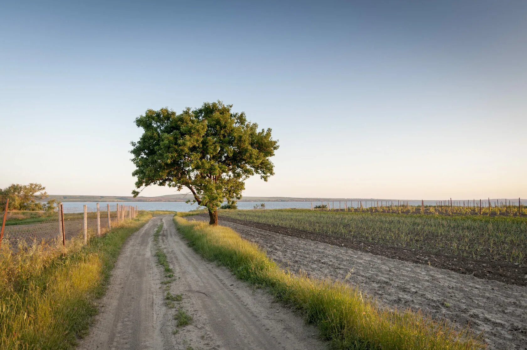 Природа таманского полуострова. Тамань. Тамань пейзаж. Мыс ахиллеон таманский полуостров. Мыс железный рог тамань.