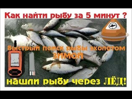 Практик рыба