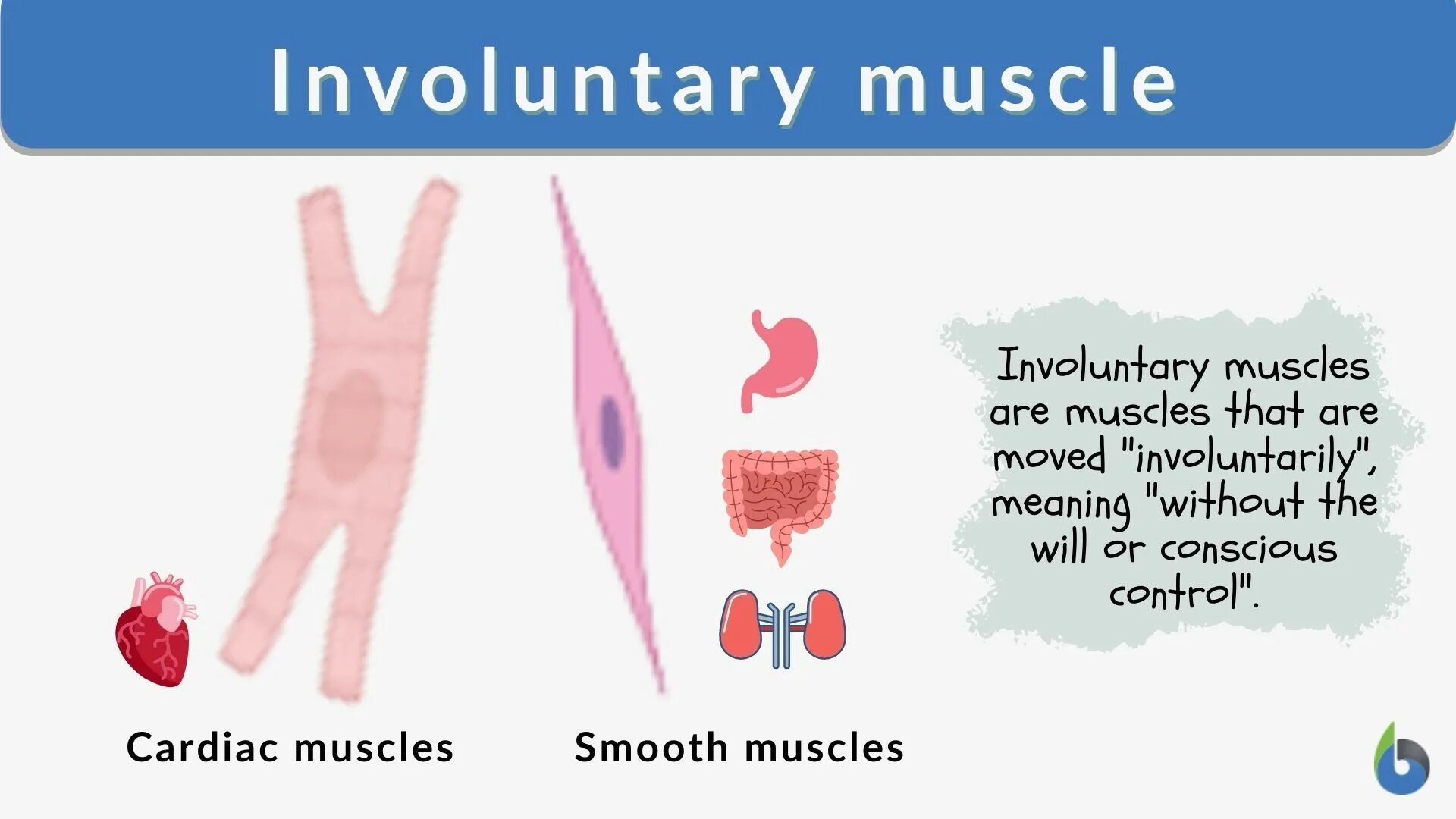 Involuntary перевод. Involuntary перевод. Involuntary. Reasons of migration. Involuntary перевод.