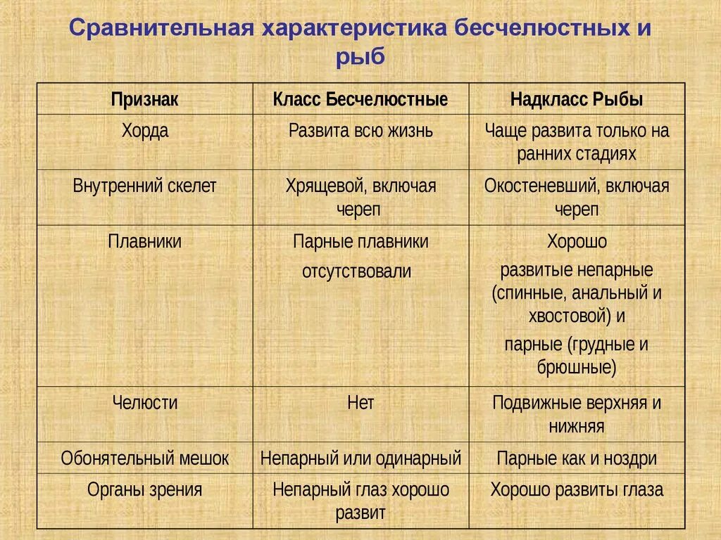 Характеристика классов рыб таблица. Сравнительная характеристика. Сравнительная характеристика хордовых и рыб. Сравнительная характеристика животных типа хордовых. Сравнительная характеристика позвоночных.