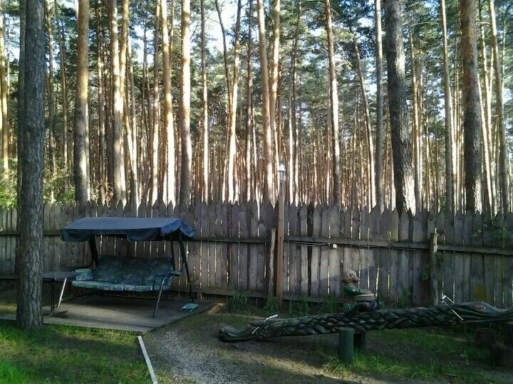 кафе ковчег тамбов