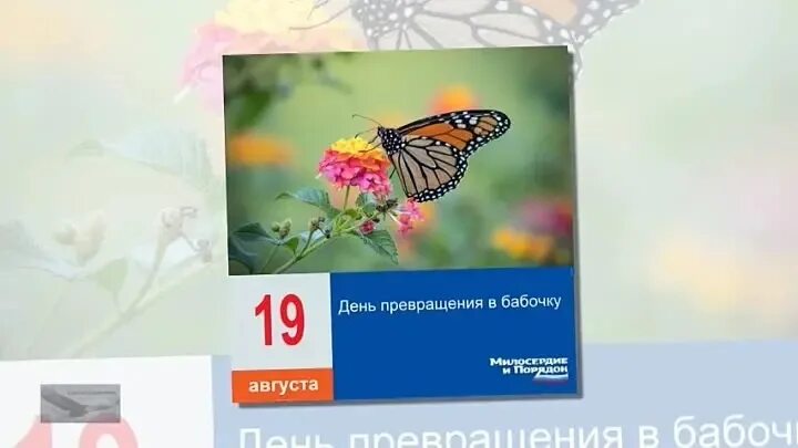 Трансформация из куколки в бабочку. День превращения в бабочку. День превращения в бабочку. Бабочки в августе. Открытки день превращения в бабочку.