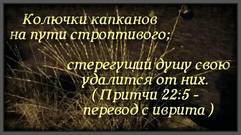 Притчи 22