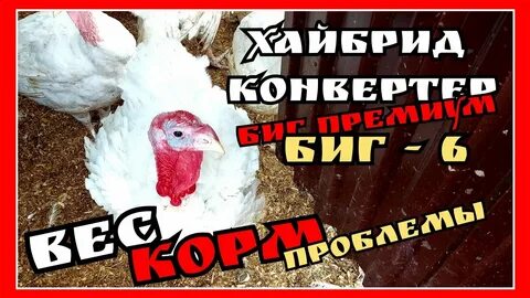 Набор веса индюки