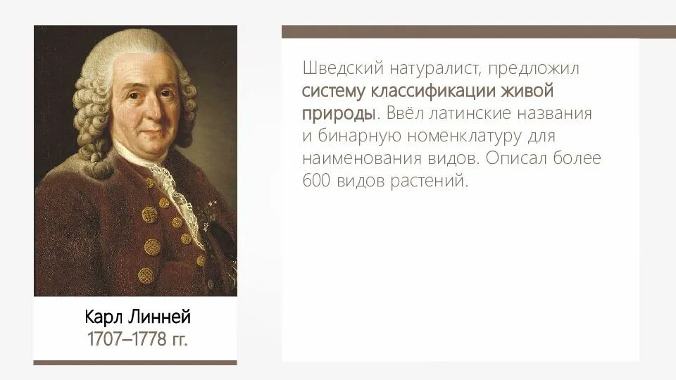 Линней дал видам латинские названия. Карл линней (1707-1778). естествоиспытатель карл линней. великие естествоиспытатель великие естествоиспытатели: карл линней. карл линней систематика.