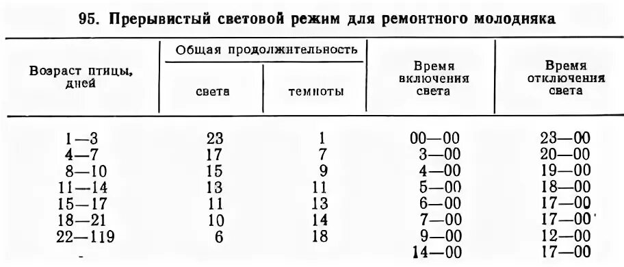 Световой день для кур зимой
