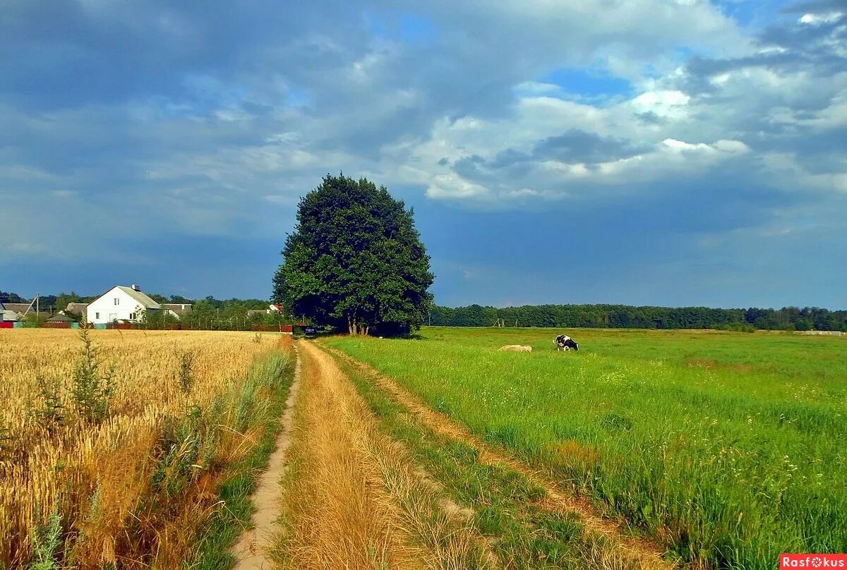 карпаты украина деревни. холмистые равнины великобритании. местность украины. местность украины. местность украины.