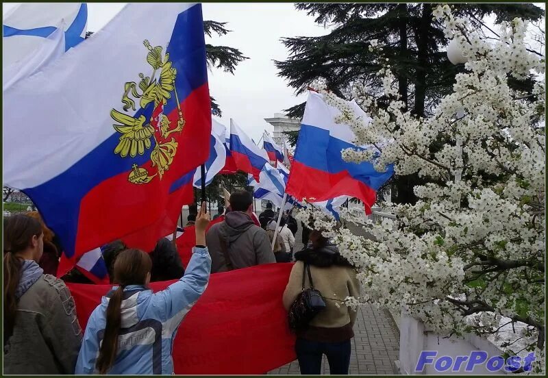 Референдум в Севастополе 2014. Референдум Крым Севастополь 2014. Крым: хроника русской весны.