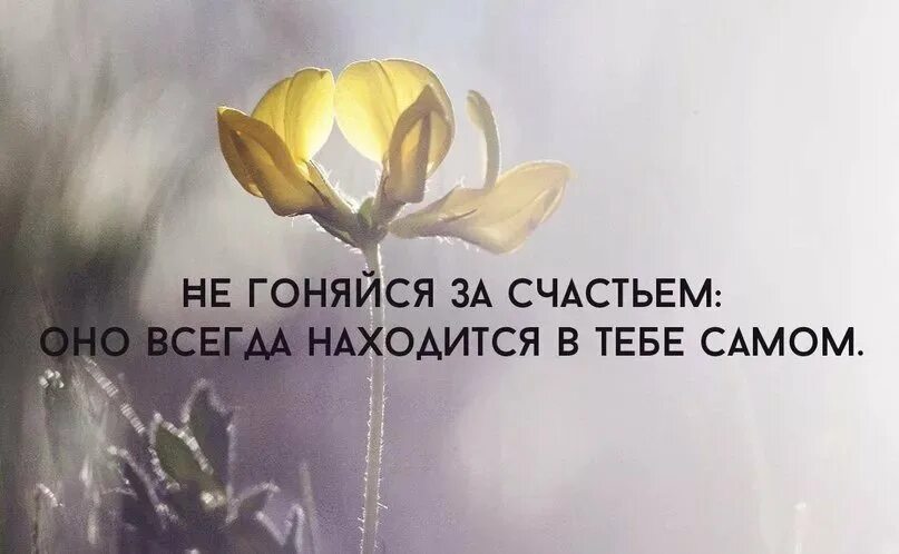 Гонятся нужно. Счастье в нас самих цитаты. Высказывания о счастье. Счастье в тебе самом. Счастье есть всегда.