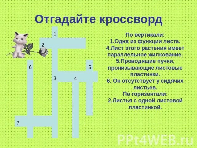 Кроссворд клеточное строение листа. Кроссворд клеточное строение листа