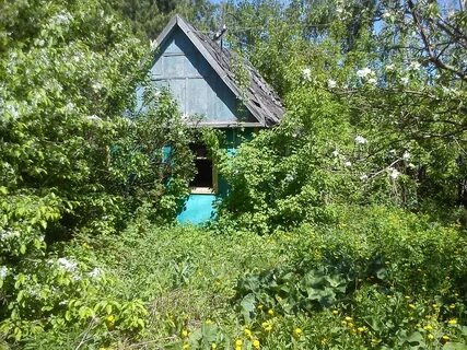 Дача в пушкинском районе