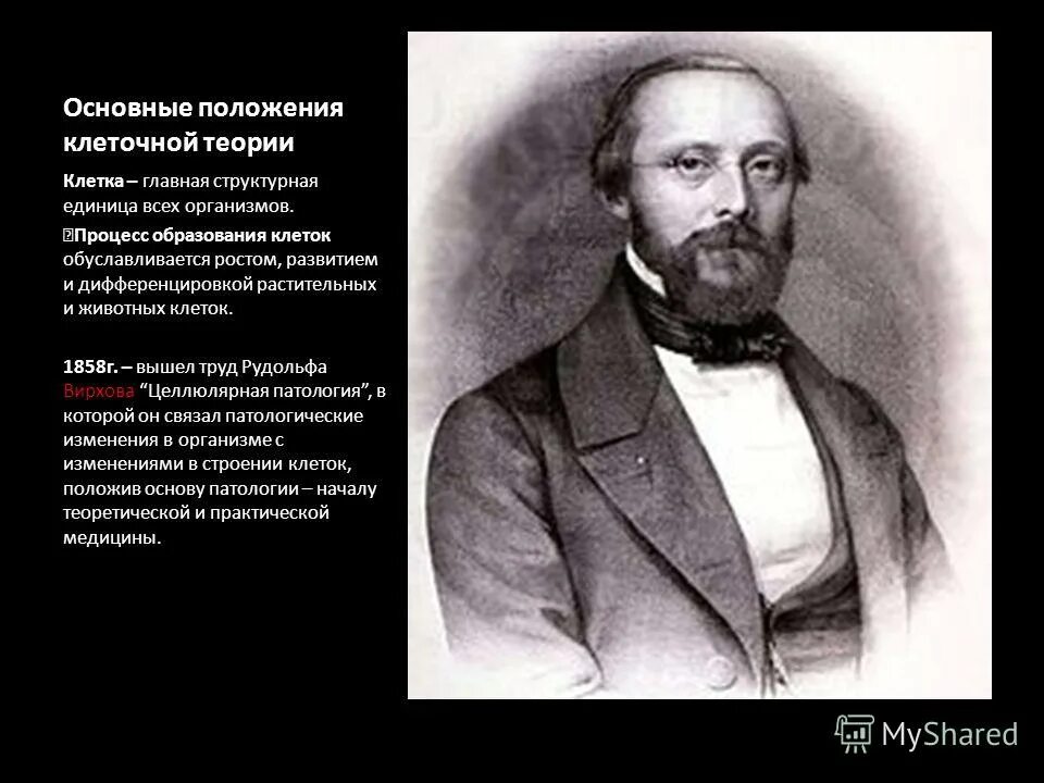 положение клеточной теории р вирхова