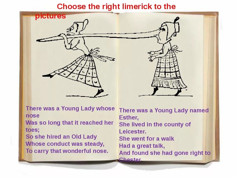 Damsel перевод на русский. Лимерик there was a young Lady. Лимерики на английском. Лимерики на английском с иллюстрациями. Лимерики на английском с переводом.