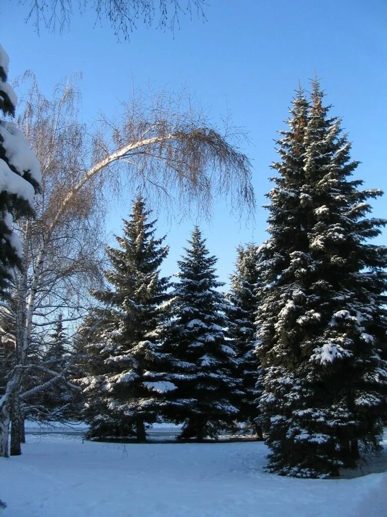 Что значит елей